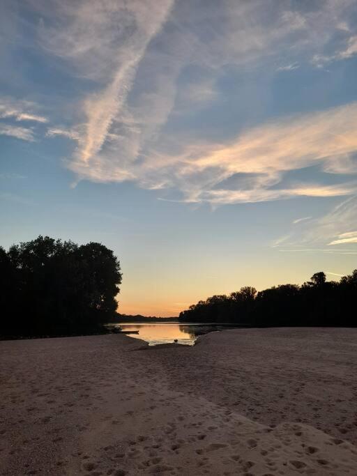 Gite En Bord De Loire Blaison-Saint-Sulpice Eksteriør bilde