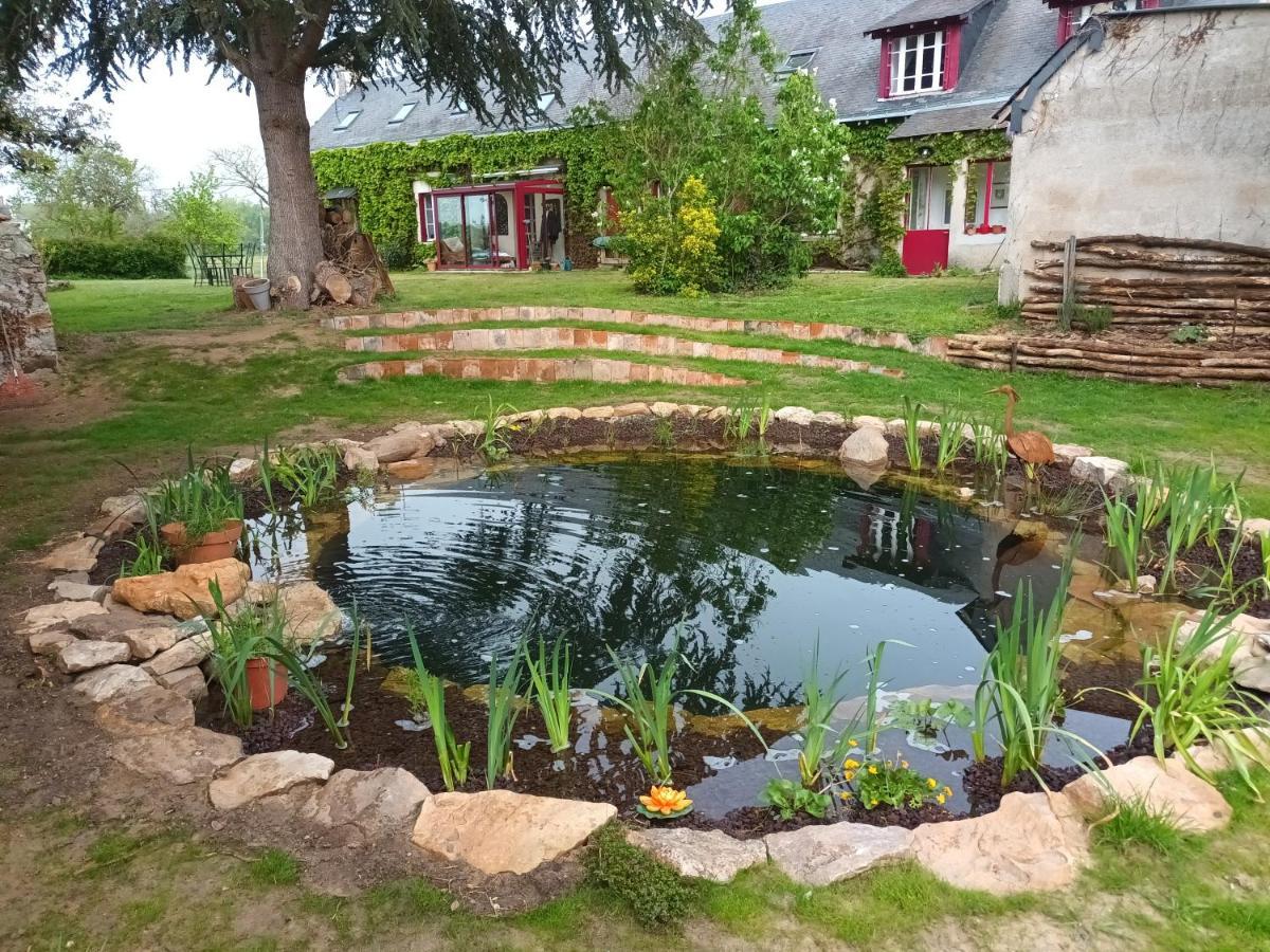 Gite En Bord De Loire Blaison-Saint-Sulpice Eksteriør bilde